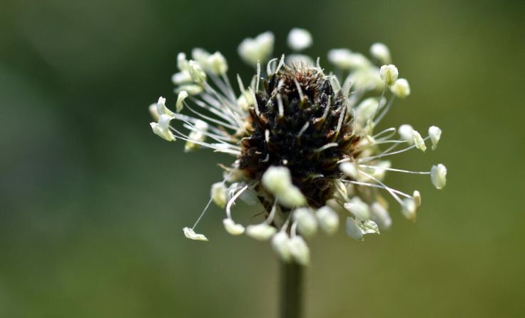 Symbolfoto (Foto: christiane65/AdobeStock)