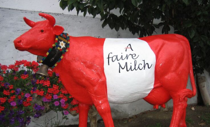 Die Etzner Faironika ist spurlos verschwunden, Hinweise erbeten. *Foto: Archivbild- IG-Milch.