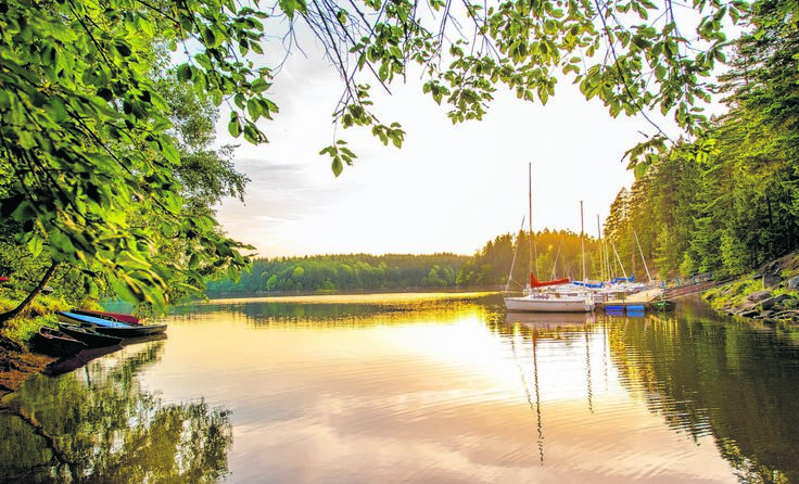 Ab ins kühle Nass - die Wasserqualität im Bezirk ist hervorragend. Foto: Waldviertel Tourismus