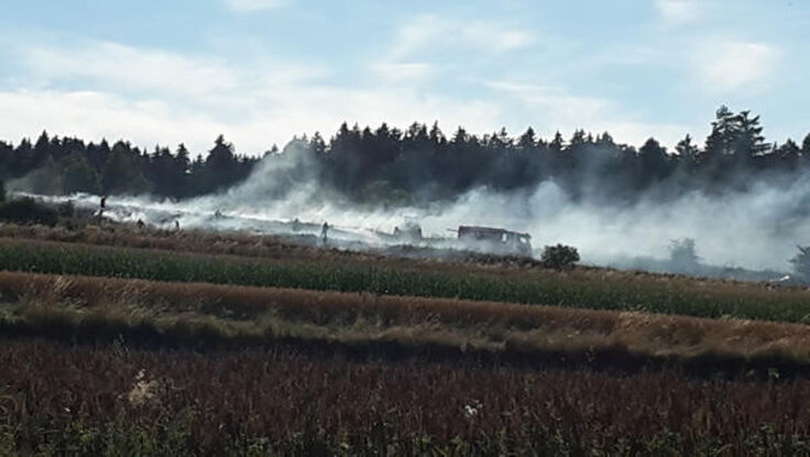 Den Flurbrand in Jahrings konnten 34 Mann rasch unter Kontrolle bringen. Foto: FF Jahrings