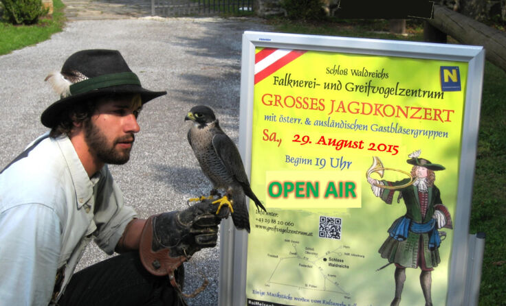 Auch einige Vögel machen bei Konzert ihre Aufwartung. Foto: Greifvogelzentrum
