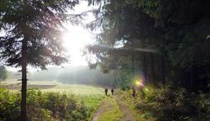 Eine Herbstwanderung durch das Waldviertler Hochland.