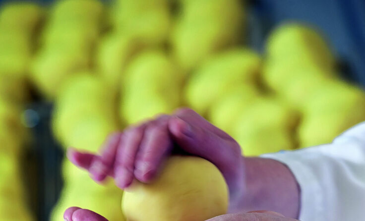 Alle Knödel werden bei Klang von Hand gedreht. Fotos: Klang