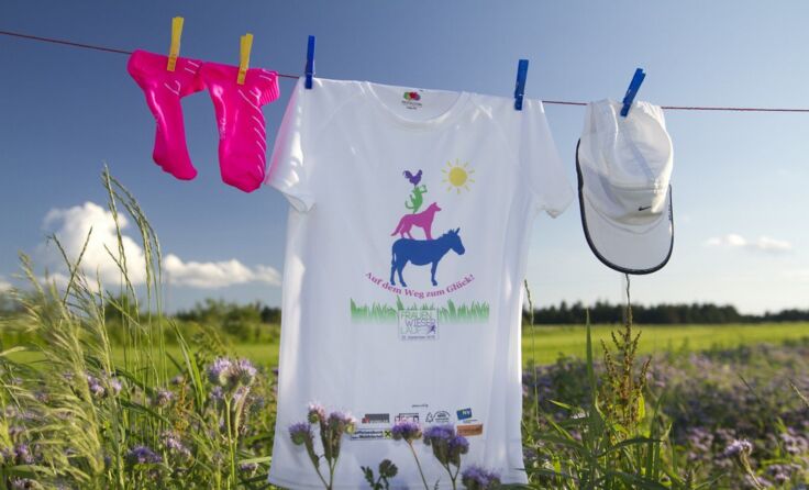 Bei rechtzeitiger Online-Anmeldung ist einem dieses T-Shirt sicher. Foto: zVg 