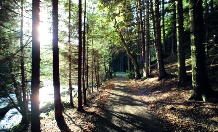 Zwettl darf sich nun als "Wanderdorf" bezeichnen. Foto: Stadtgemeinde Zwettl