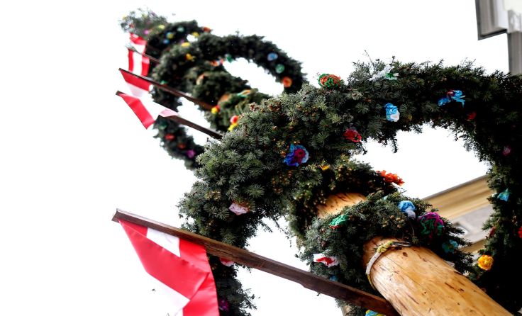 Fixer Programmpunkt im Jahreskreis der Stadtgemeinde Zwettl: Das Maibaum aufstellen. Foto: Vowe