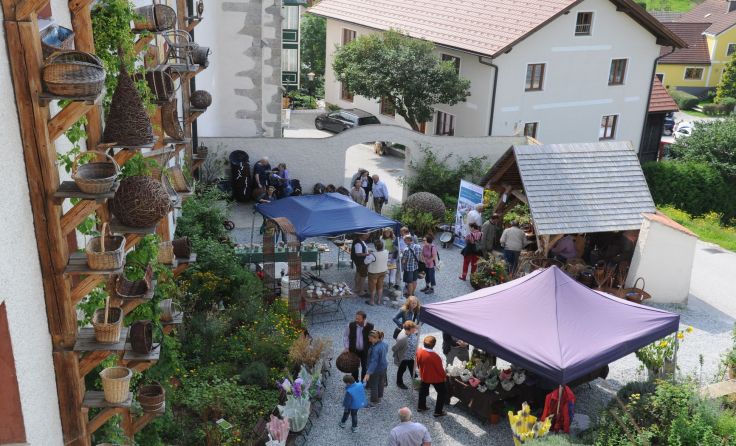 Der Korb-Garten - zur Zeit in voller Blüte; Foto: Erlebnismuseumsverein Schönbach