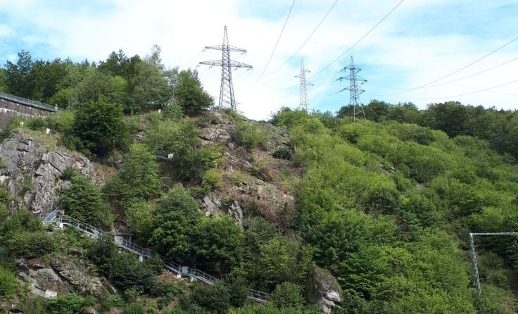 Fotos: Netz NÖ