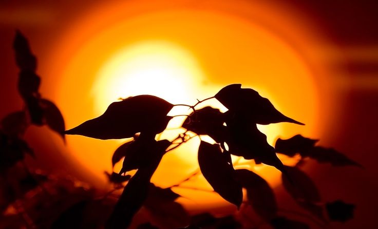 Sonnenuntergang; Foto: subhash.at