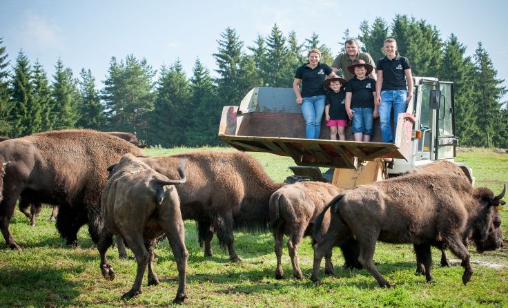 Familie Baumgartner aus Mitterschlag ist auf die Bisons gekommen. Foto: Baumgartner