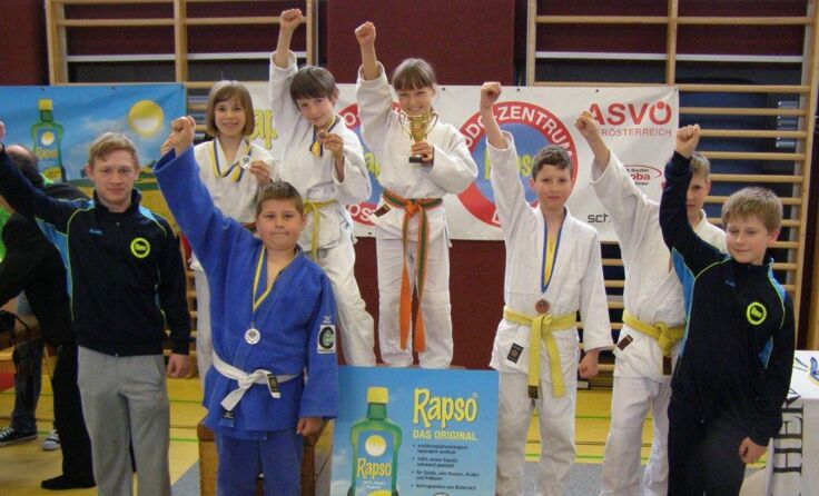 Die siegreichen Judokas vom JZ Rapso Linz im Jahr 2015.