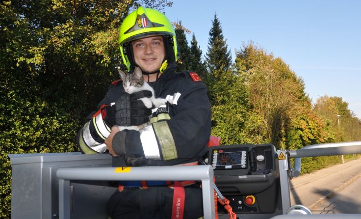 Das Kätzchen wurde von der Freiwilligen Feuerwehr gerettet.