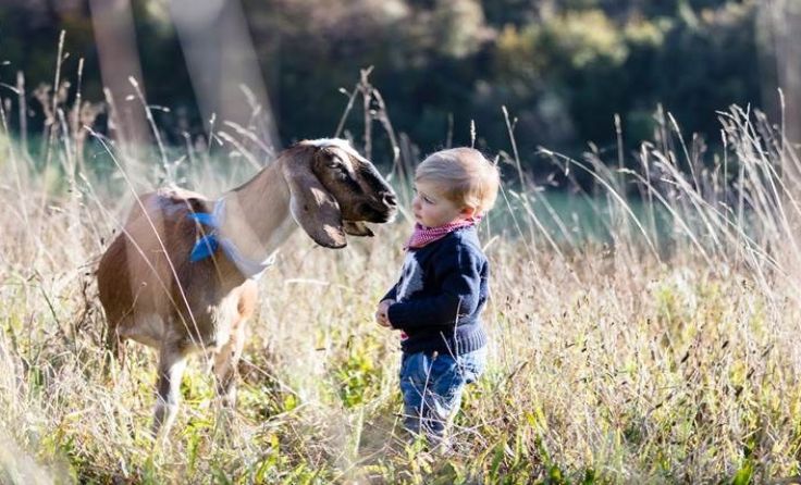 Foto: Elisa Sommer