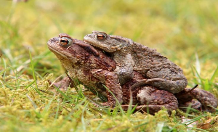 Foto: Eileen Kumpf / shutterstock.com