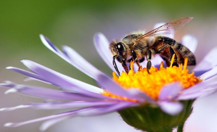 Foto: Daniel Prudek/shutterstock.com