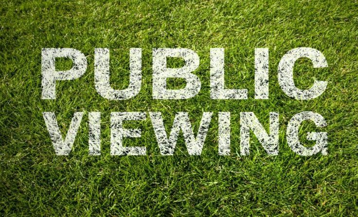 Organisiert wird das Public Viewing vom ESK und La Tavola. Foto: SP-Photo/shutterstock.com