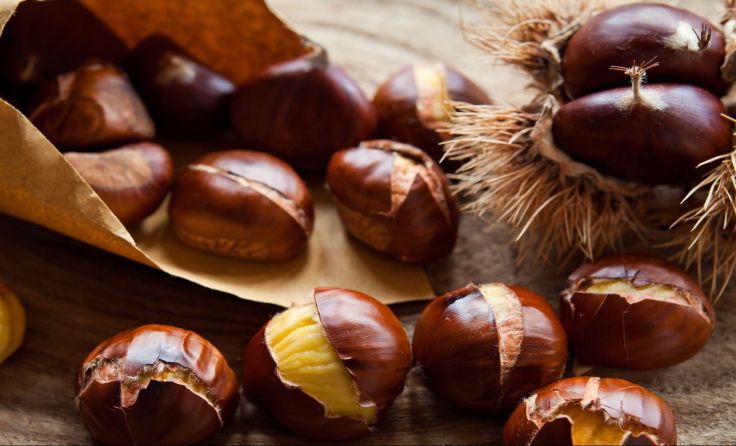 Foto: JoannaTkaczuk / shutterstock.com