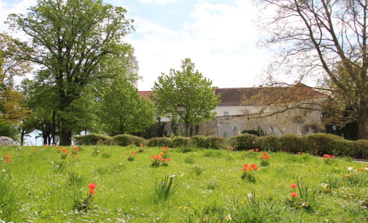 Foto: Stadtgemeinde Enns