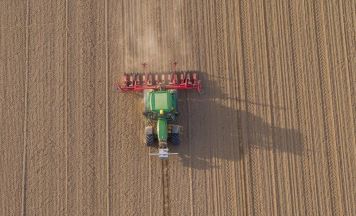 Die Zuckerrübe: wo die Landwirtschaft integrierten Pflanzenschutz braucht