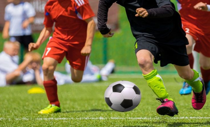 Foto: matimix/shutterstock.com