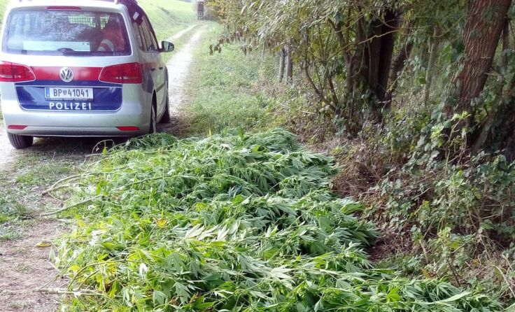Foto: Polizei Ottensheim