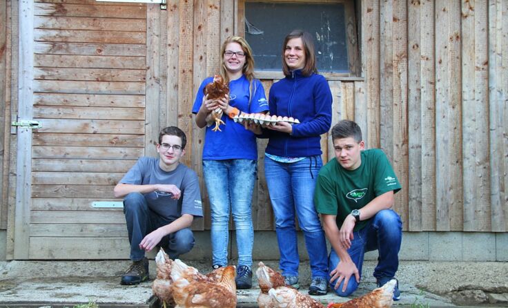 Die Hühner haben in Warth wieder ein Zuhause gefunden. Foto: Jürgen Mück.