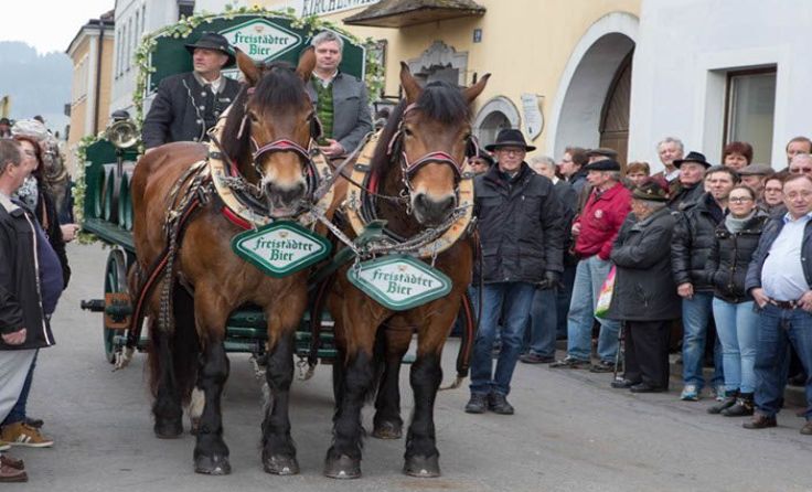 Pferde und Wirtschaft verbindet der Josefimarkt zum Gesamterlebnis. Foto: Walter Grohs