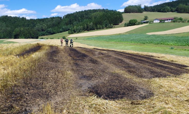 alle Fotos: FF Selker-Neustadt
