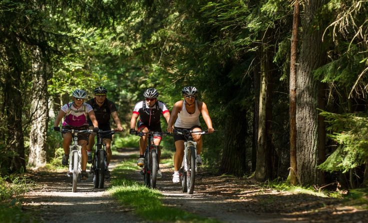 Per Mountainbike die Landesgrenzen überschreiten Waldviertel Tourismus Erwin Haiden nyx.at