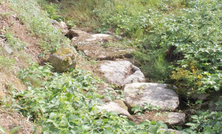 Derzeit noch knochentrocken: das Bachbett des Loibersdorfer Baches. Foto: Greindl