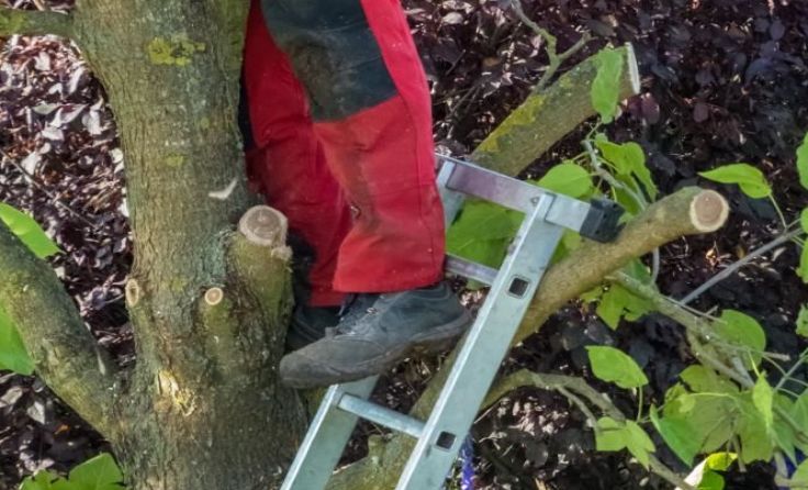 Absicherung sollte bei jeder Arbeit im Garten selbstverständlich sein. Foto: Wodicka
