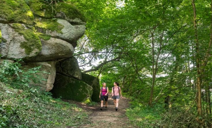 In der herrlichen Landschaft der Mühlviertler Alm tanken Wandernde Kraft. Foto: Hawlan