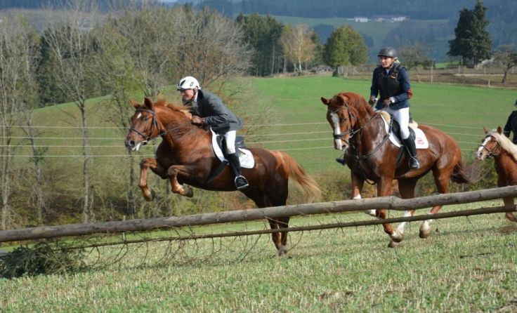 Fotos: Ernst Trudenberger 