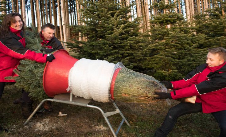 Spenden den Landhaus-Christbaum 2018: Gerda, Gerhard und Tobias Lengauer: Fotos: Hanna Buchner