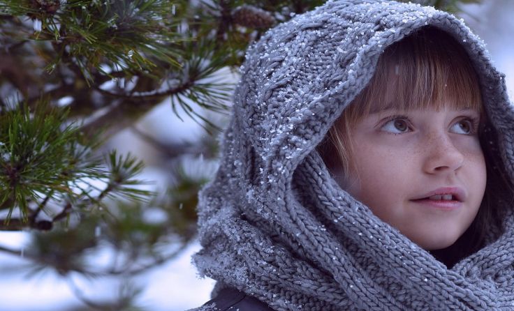 Foto:  Creative Commons CC0