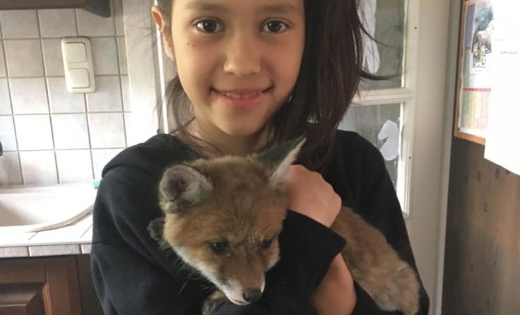 Enkelin Alicia beim Kuscheln mit Fuchskind Fiona Foto: privat