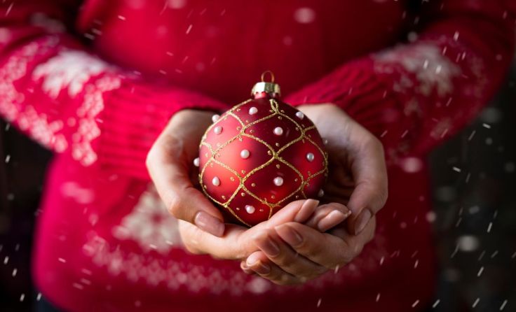 Foto: Tetiana Liubarska/Shutterstock.com