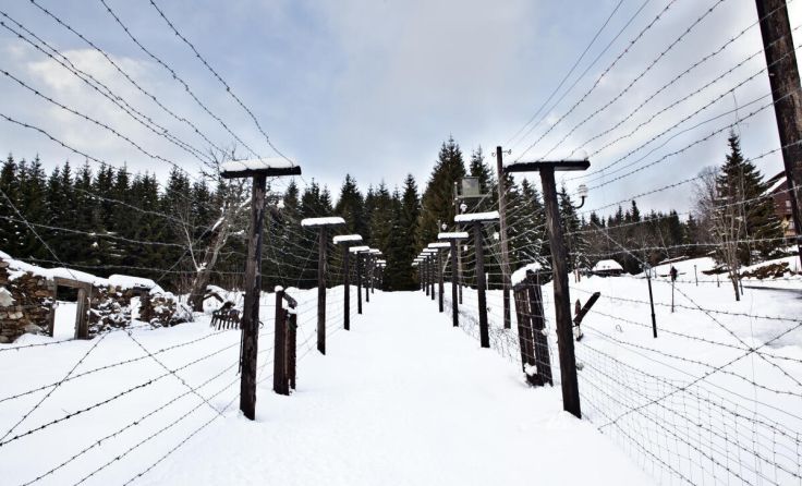 Überreste des Eisernen Vorhangs an der Grenze zu Österreich (Foto: Jan Krcmar/Shutterstock)