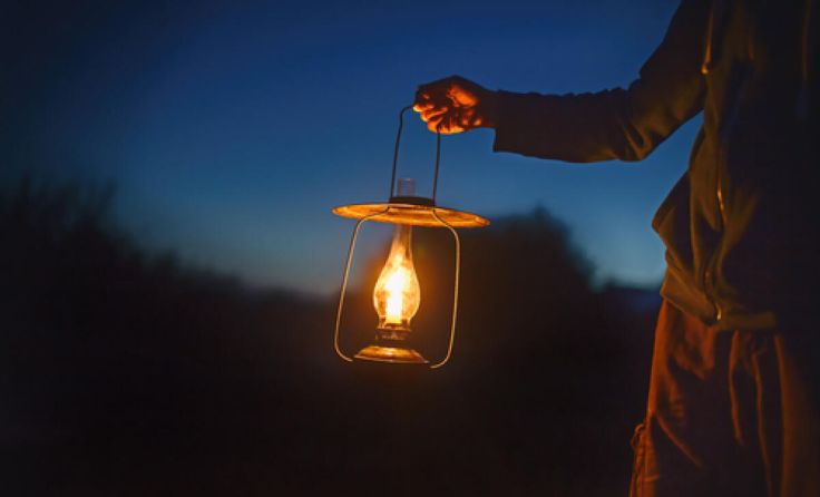 (Foto: EvgeniiAnd/Shutterstock)