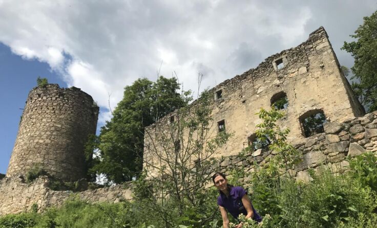  (Foto: Burgverein Prandegg)