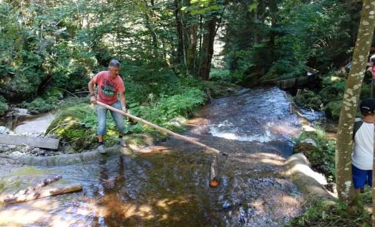 Jahrhundertelang wurde in der Klammleiten Holz geschwemmt. (Foto: Pichler)
