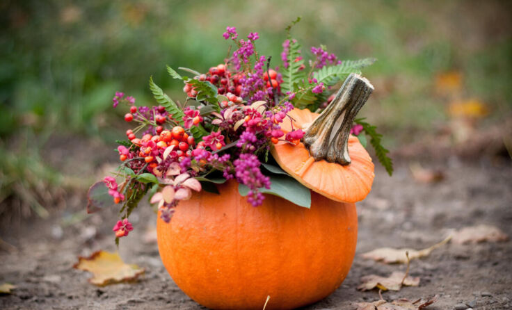 Herbstlich-bunter Blickfang (Foto: Adobe Stock/kaciia)