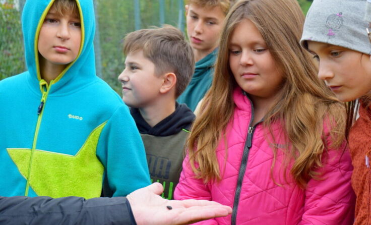  (Foto: Naturpark Mühlviertel)