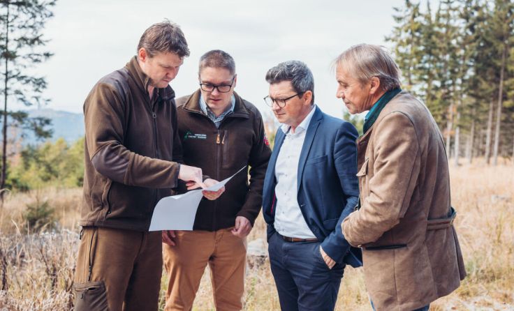 Windräder für Sandl (Foto: MecGreenie)