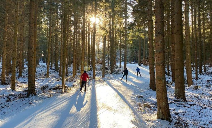 Foto: Mühlviertler Alm/Hawlan
