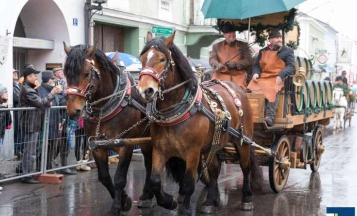 Schwere Kaltblutpferde ziehen am Josefimarkt die Bierwägen. (Foto: Erwin Pils)