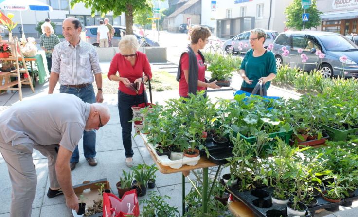 Der Lenz lässt grüßen - beim Frühlings.Markt.Tag in Neumarkt. (Foto: privat)