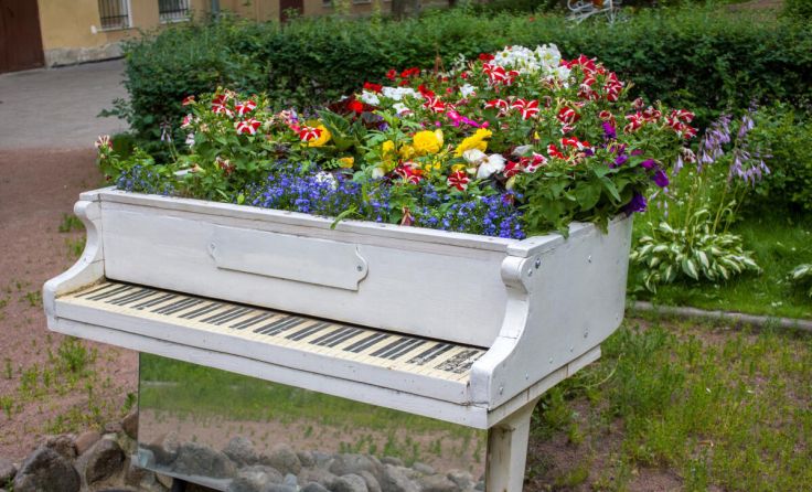 Musikerlebnis der besonderen Art (Foto: Pavel/Adobe Stock)