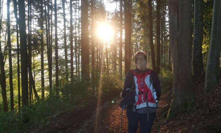 Wandern in Kaltenberg - Sonnenaufgang (Foto: Monika Thauerböck/Kaltenberg Tourismus)