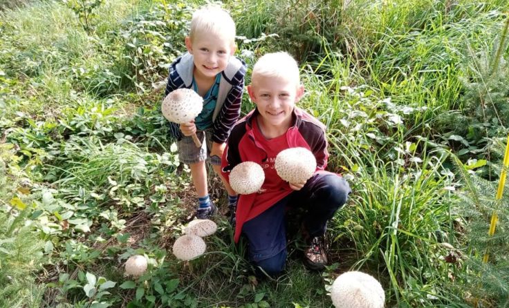  (Foto: Pilz)